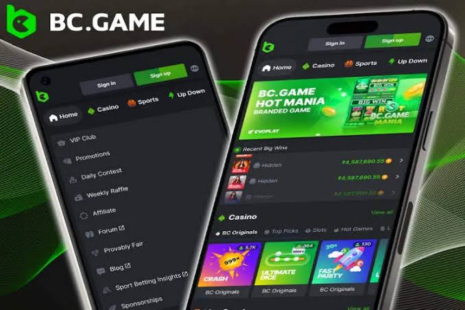 Discover BC.Game Online Casino The Ultimate Gaming Experience